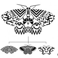moth-header moth-header
