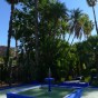 Fountain, Jardin Majorelle