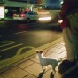 bus stop